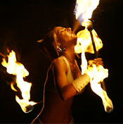 Bands & Performances